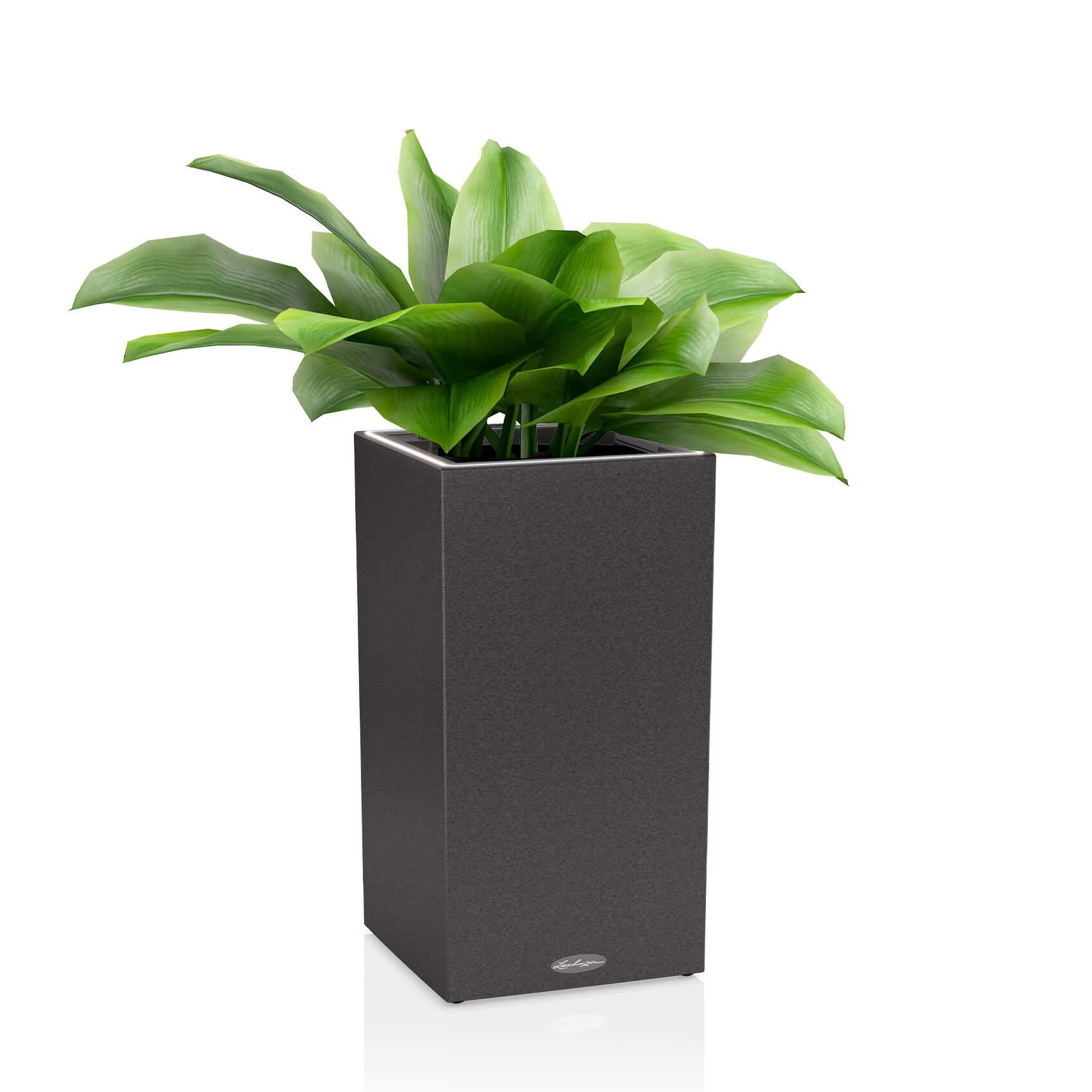 CANTO Stone 30 high LED graphite black